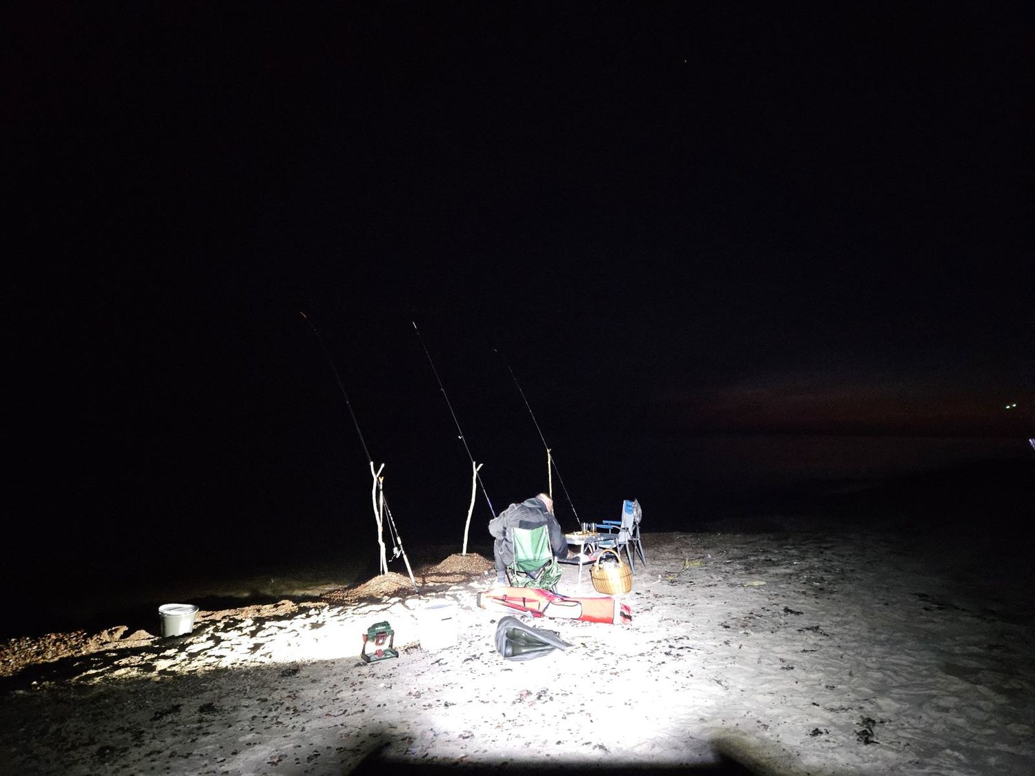 naktinė plekšnių žvejyba