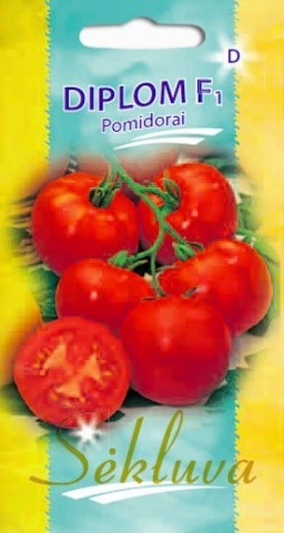 Pomidorai_DIPLOM