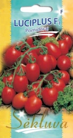 Pomidorai_LUCIPLUS