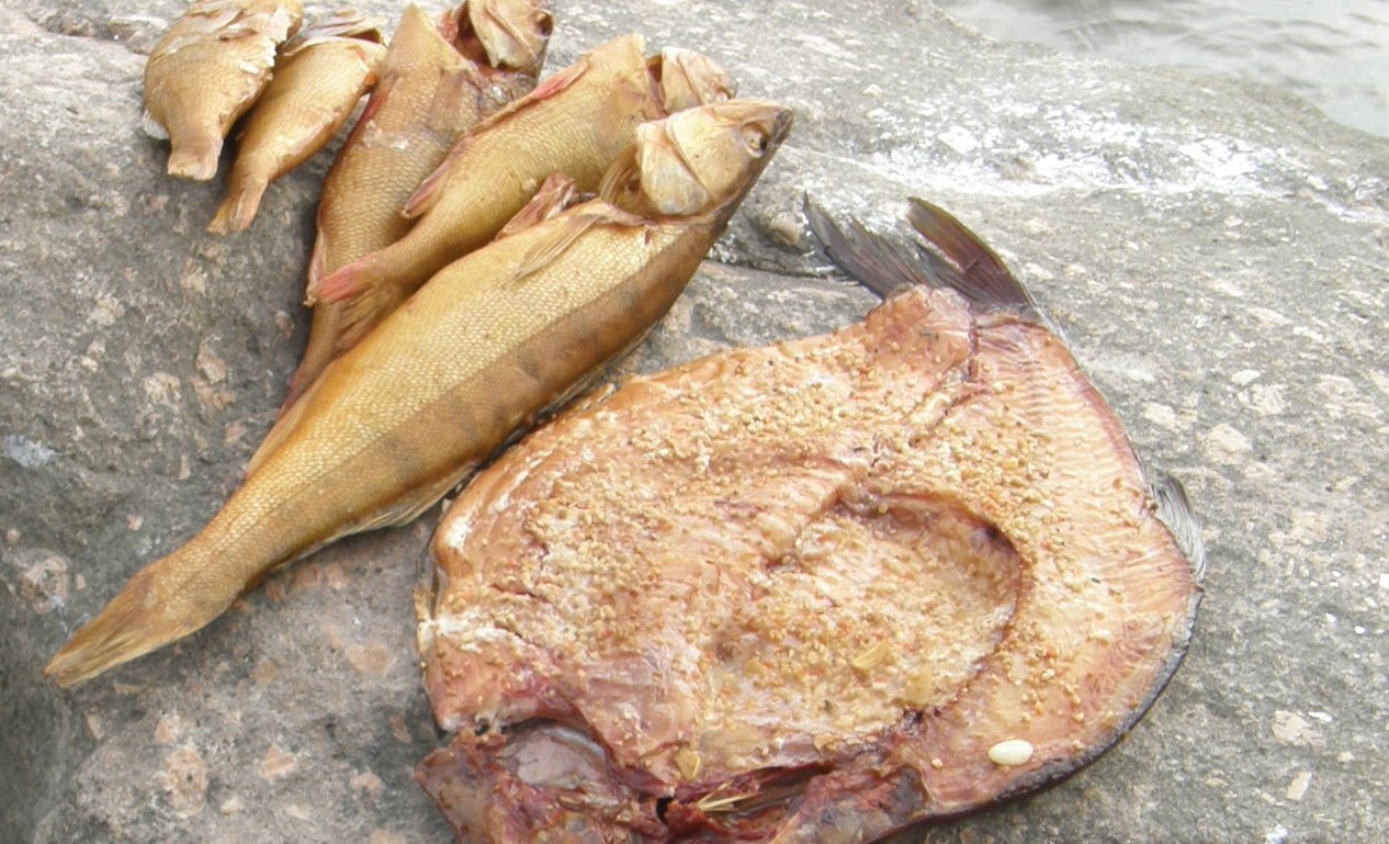 Rūkytos žuvies degustacija Mingėje