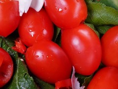 pomidoru_receptai