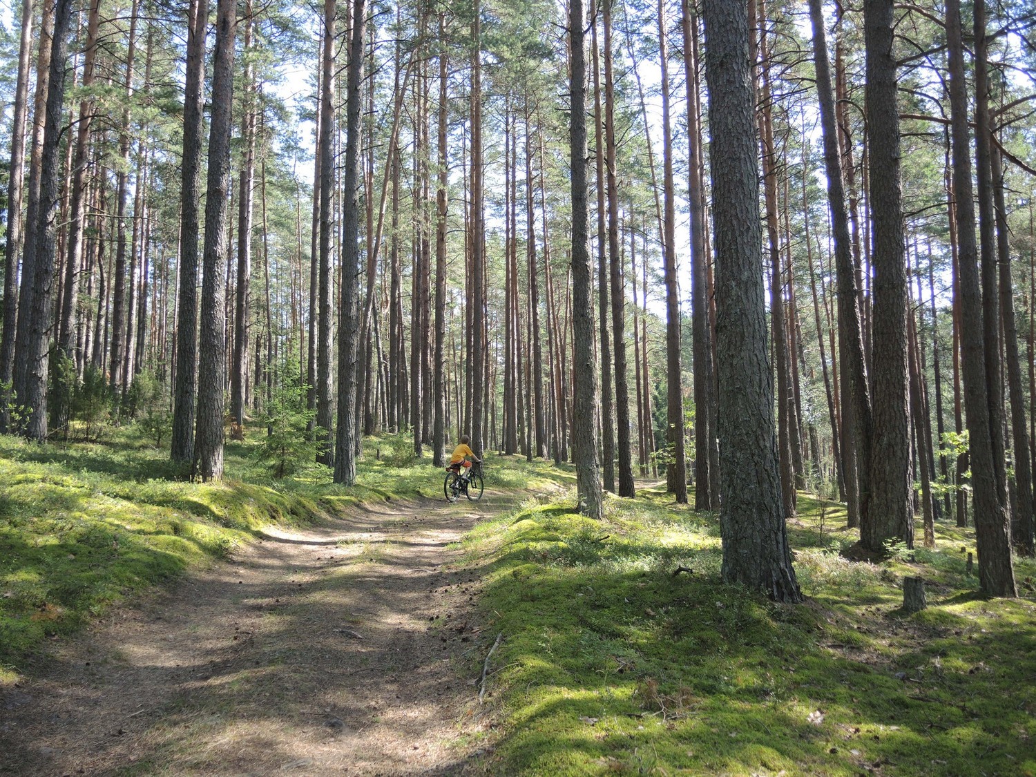 Dviračių ir pėsčiųjų maršrutai Molėtuose