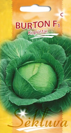 Kopūstai Burton
