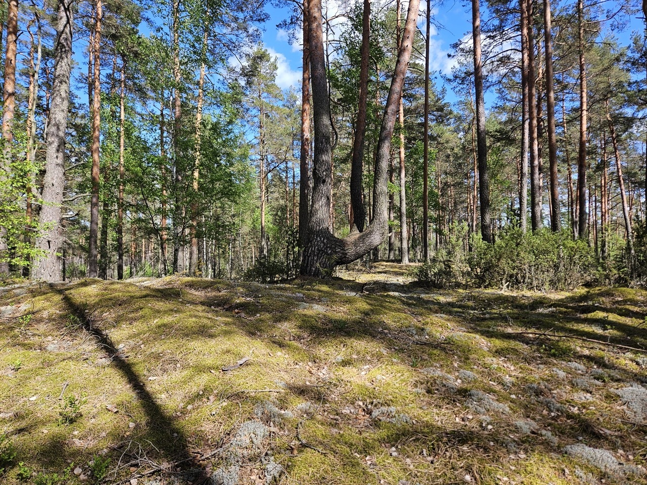 ką pamatyti dzūkijos nacionaliniame parke 