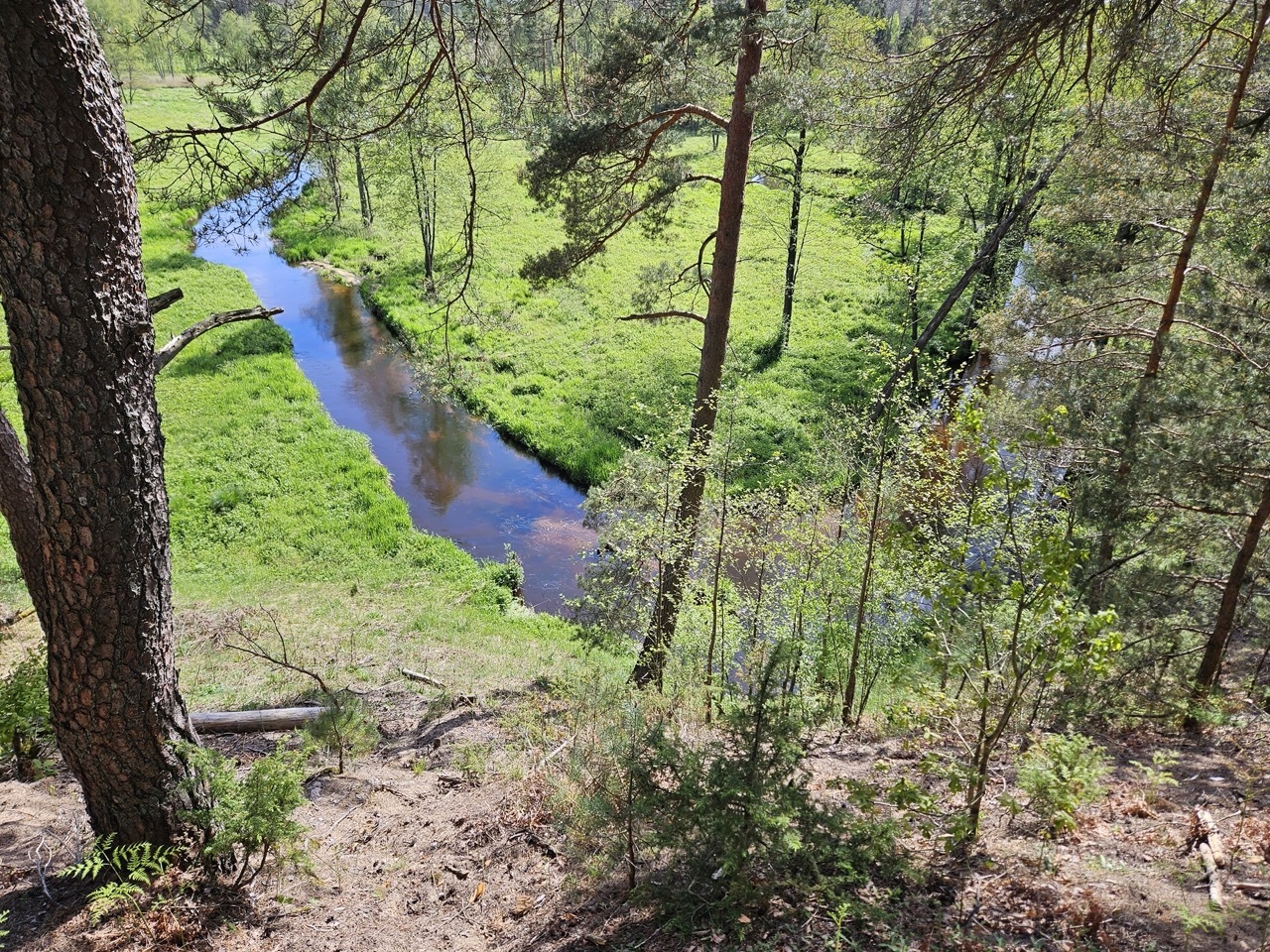 šaudyklos kalnas