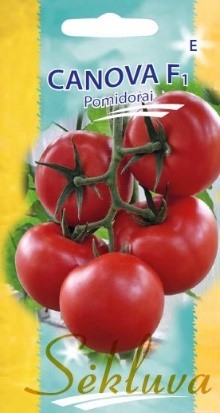 Pomidorai_Canova
