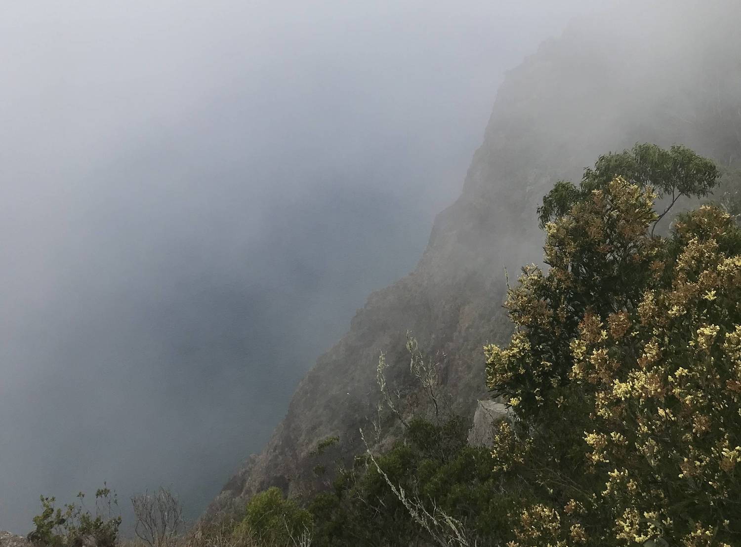 Pico Ruivo Madeira