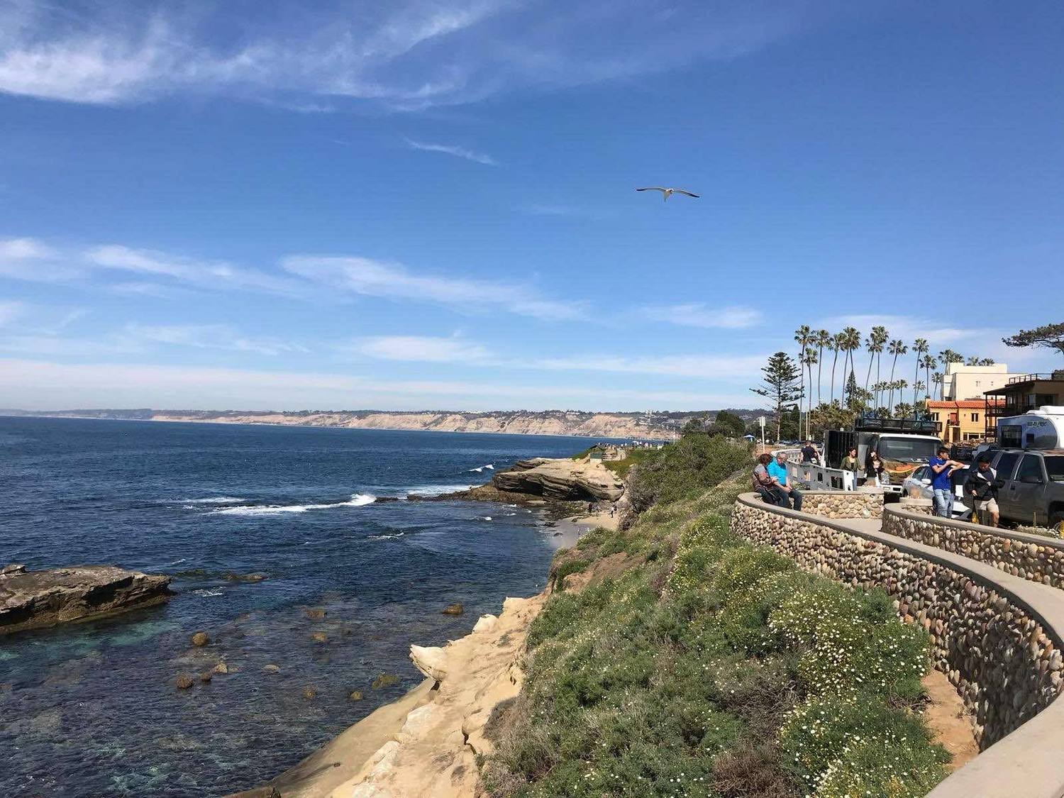 La Jolla Cove