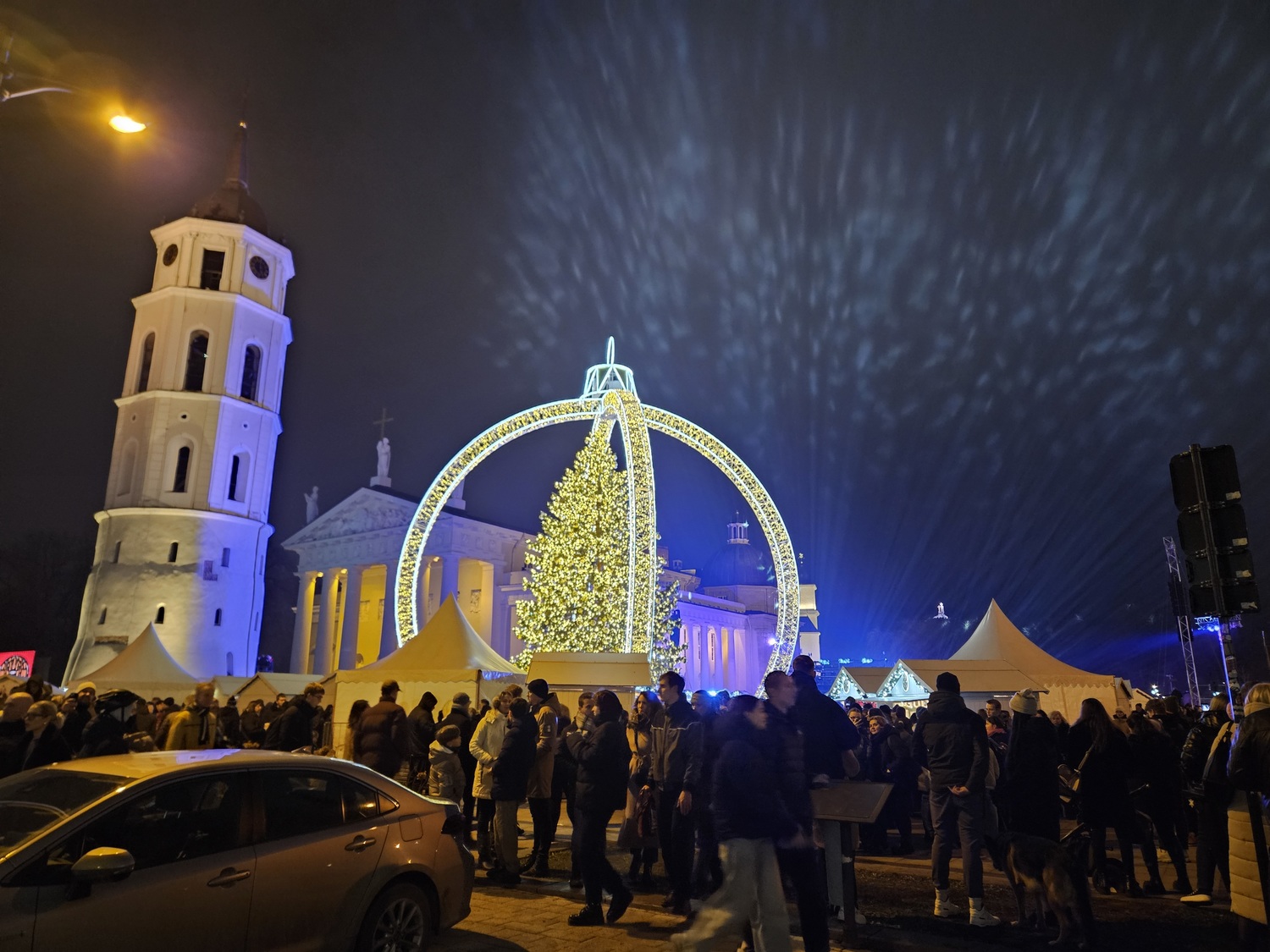 vilniaus katedra