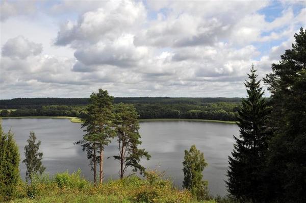 kandidatai_i_seima_ignalinoje_