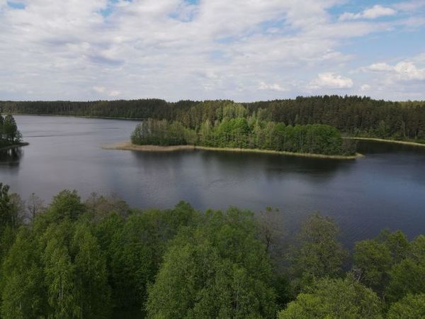 kandidatai_i_seima_moletuose