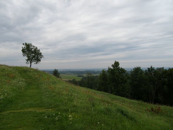Rinkimai į Seimą Telšiuose