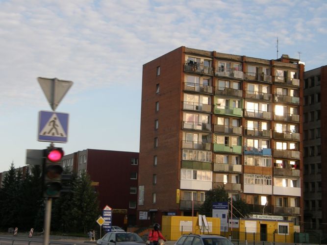 Rinkimai į Seimą 2020 Tauragėje