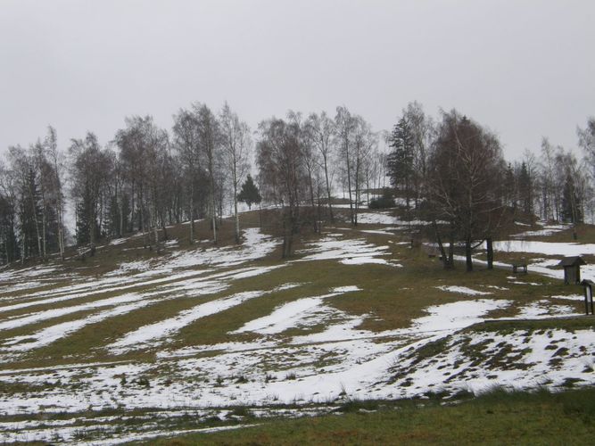 Kandidatai į Seimą 2020 Šilalėje