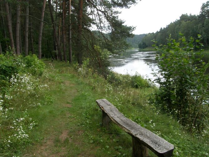 kandidatai_i_seima_nemencineje__1_