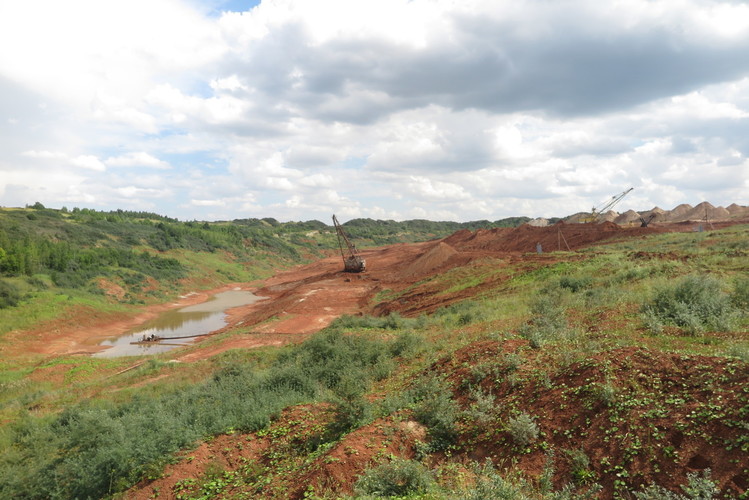 Rinkimai į Seimą 2020 Naujoje Akmenėje
