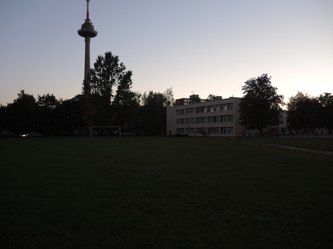 pilaites_karoliniskiu_rinkimine_apygarda