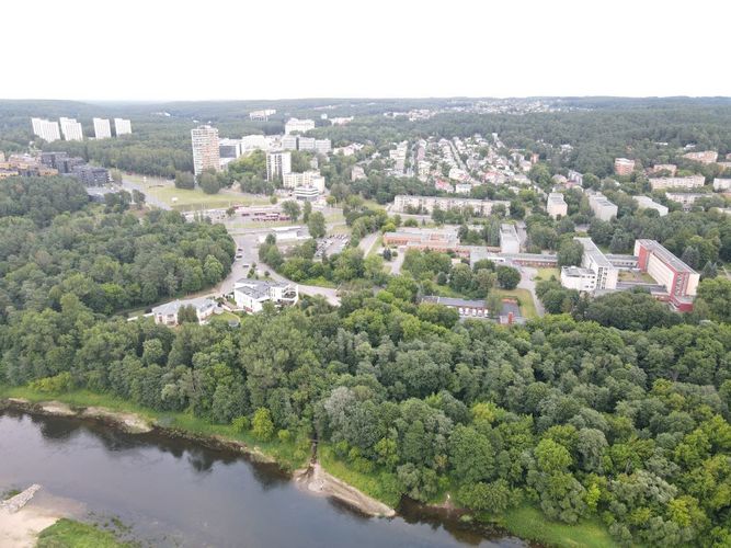 Antakalnio rinkimine apygarda