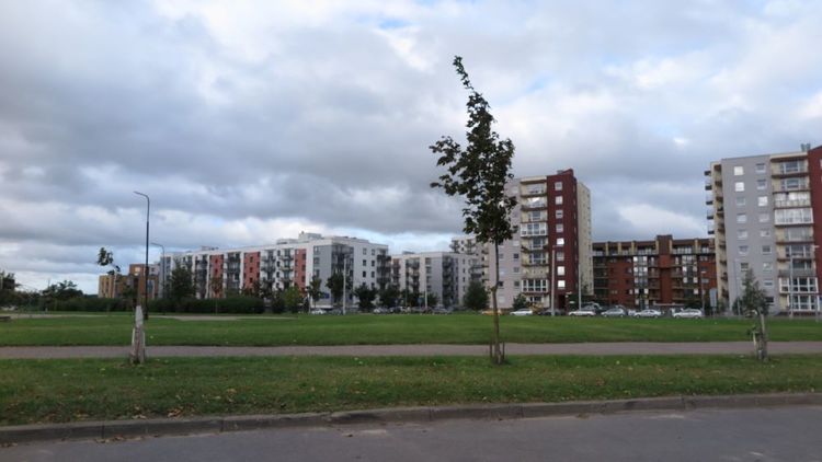 Kandidatai į Seimą Pašilaičiuose