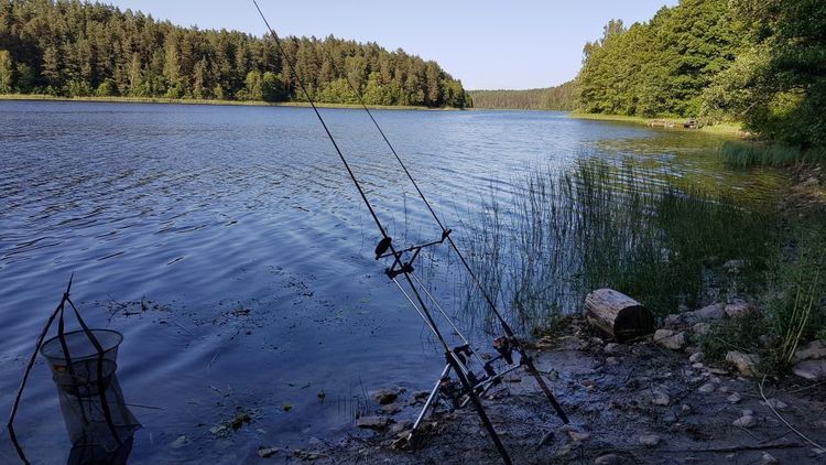 Dugninės feeder meškerės Kaune