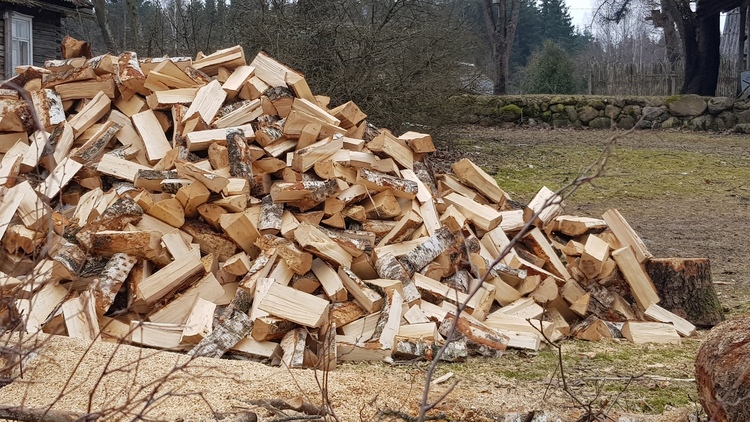 Skaldytos malkos Molėtuosee