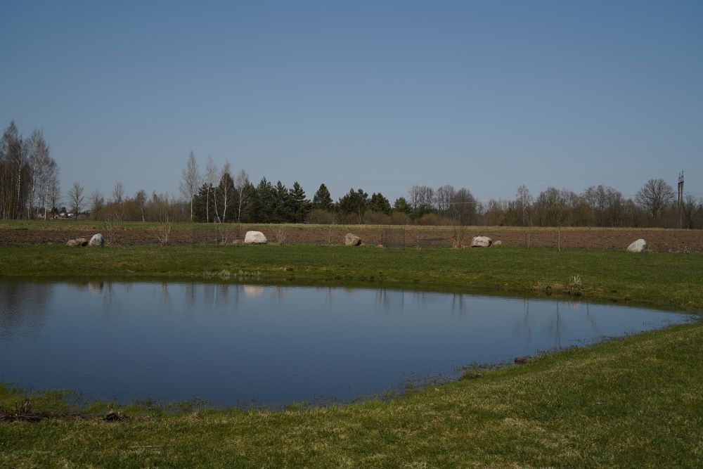 Tvenkinių kasimas Molėtuose