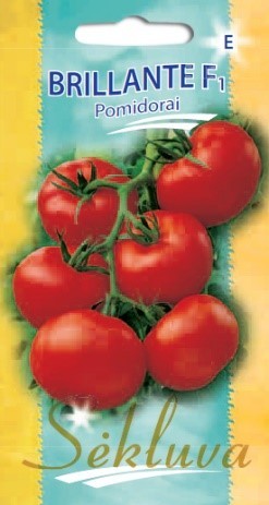 Pomidorai_BRILLANTE