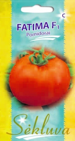 Pomidorai_FATIMA