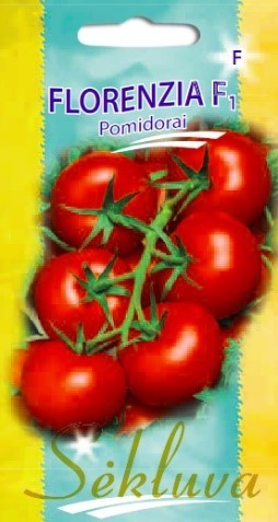 Pomidorai_FLORENZIA