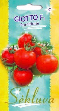 Pomidorai_GIOTTO