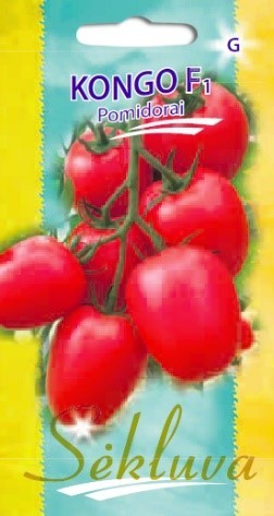Pomidorai_KONGO