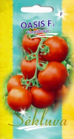 Pomidorai_OASIS