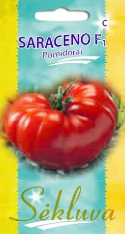 Pomidorai_SARACENO