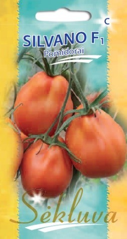 Pomidorai_SILVANO