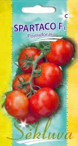 Pomidorai_SPARTACO