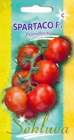 Pomidorai_SPARTACO