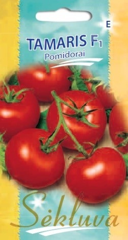 Pomidorai_TAMARIS