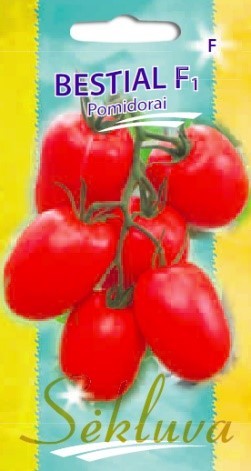 Pomidorai_BESTIAL