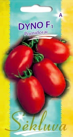 Pomidorai_DYNO