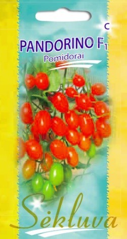 Pomidorai_PANDORINO