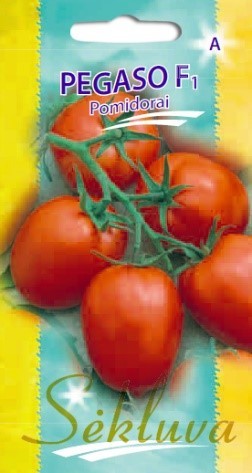 Pomidorai_PEGASO