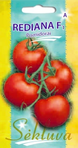 Pomidorai_REDIANA