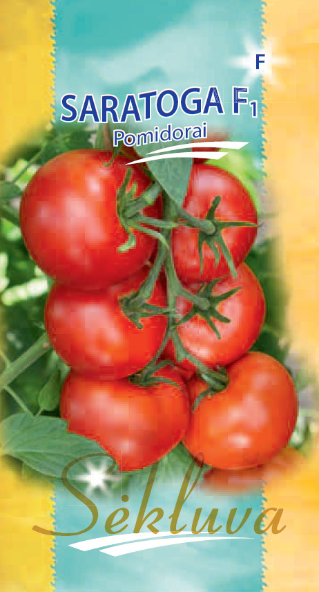 Pomidorai-SARATOGA
