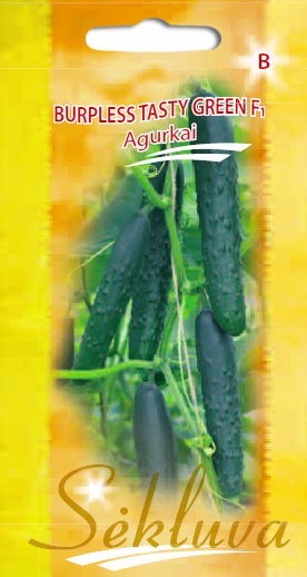 Agurkai Burpless Tasty GreenF1
