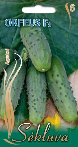 Agurkai Orfeus_F1