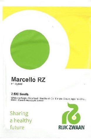 Kopūstai Marcello F1