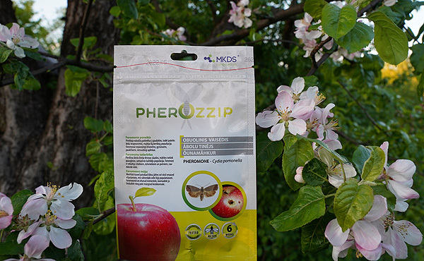 Pherozipp obelų apsaugai nuo vaisėdžių