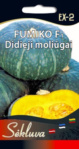 Moliūgai Fumiko F1