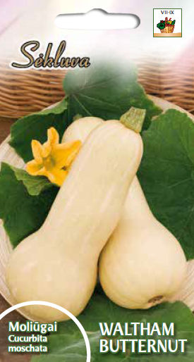 Moliūgai Waltham Butternut_