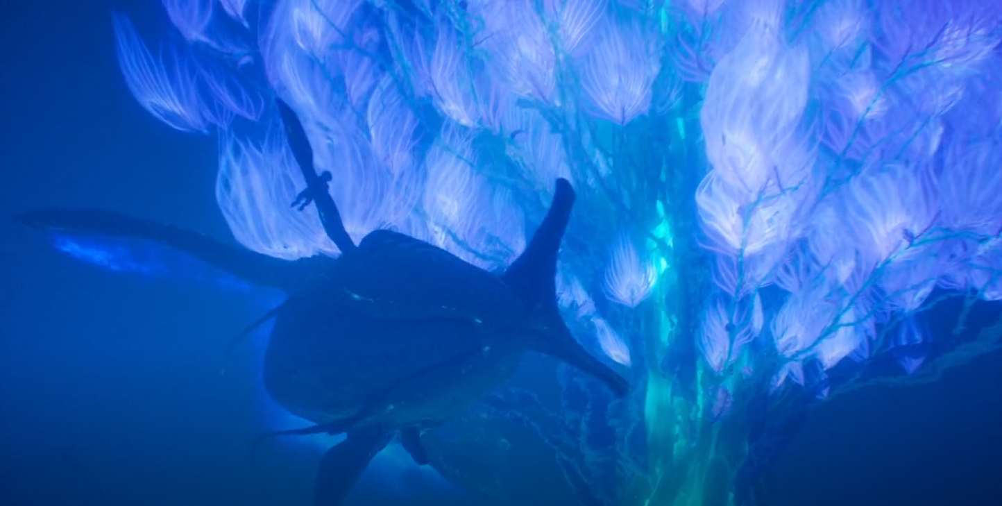 Mokslinės fantastikos filmas Įsikūnijimas. Vandens kelias - Avatar: The Way of Water